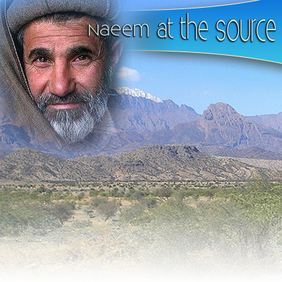 Naeem at the Source