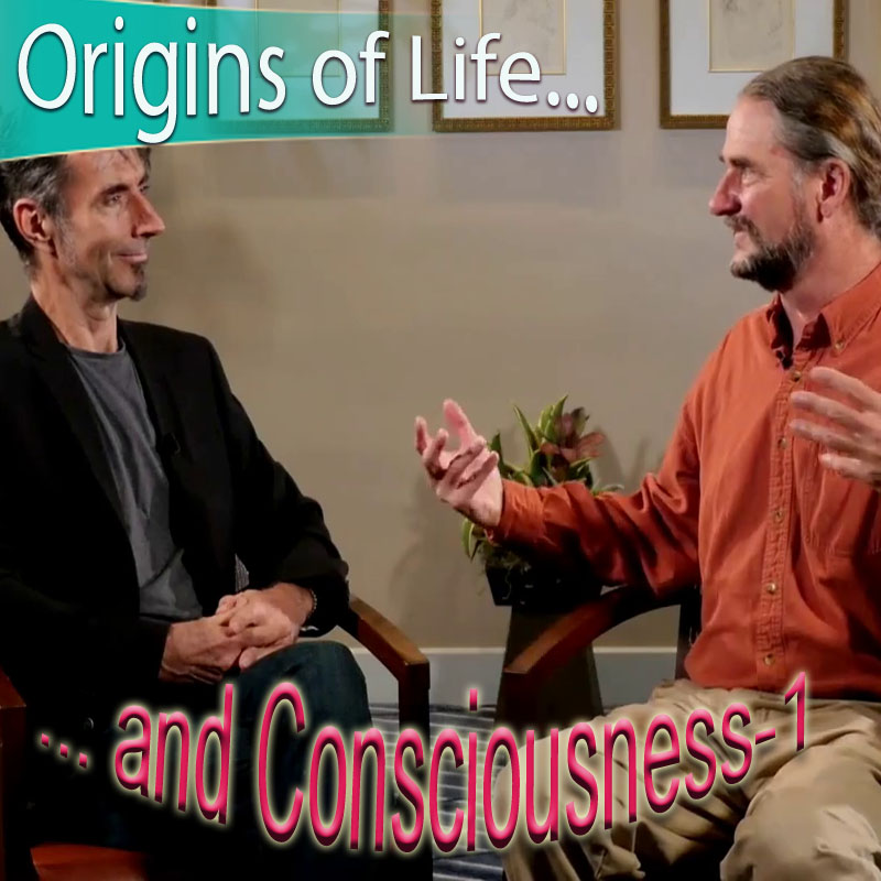 057-LevityZone-Origin-of-Life-and-Consciousness-1-COVER