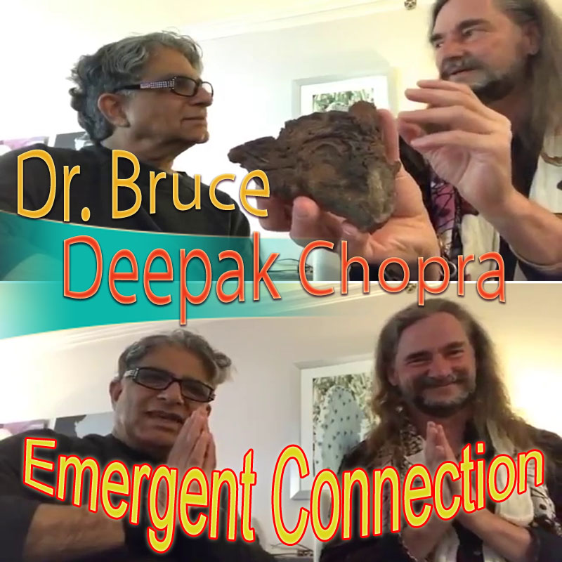 065-LevityZone-DrBruce-Deepak-Chopra-Emergent-Connection-OtherCOVER